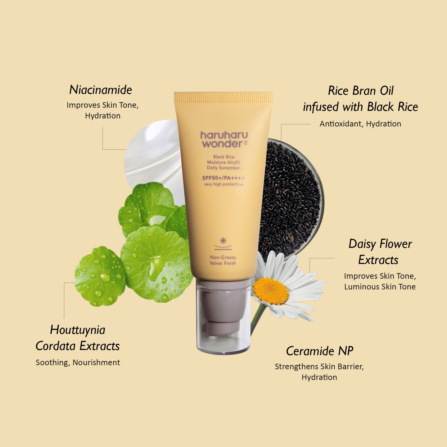 HaruHaru Wonder Black Rice Moisture Airyfit Daily Sunscreen SPF50+ PA++++ 50ml